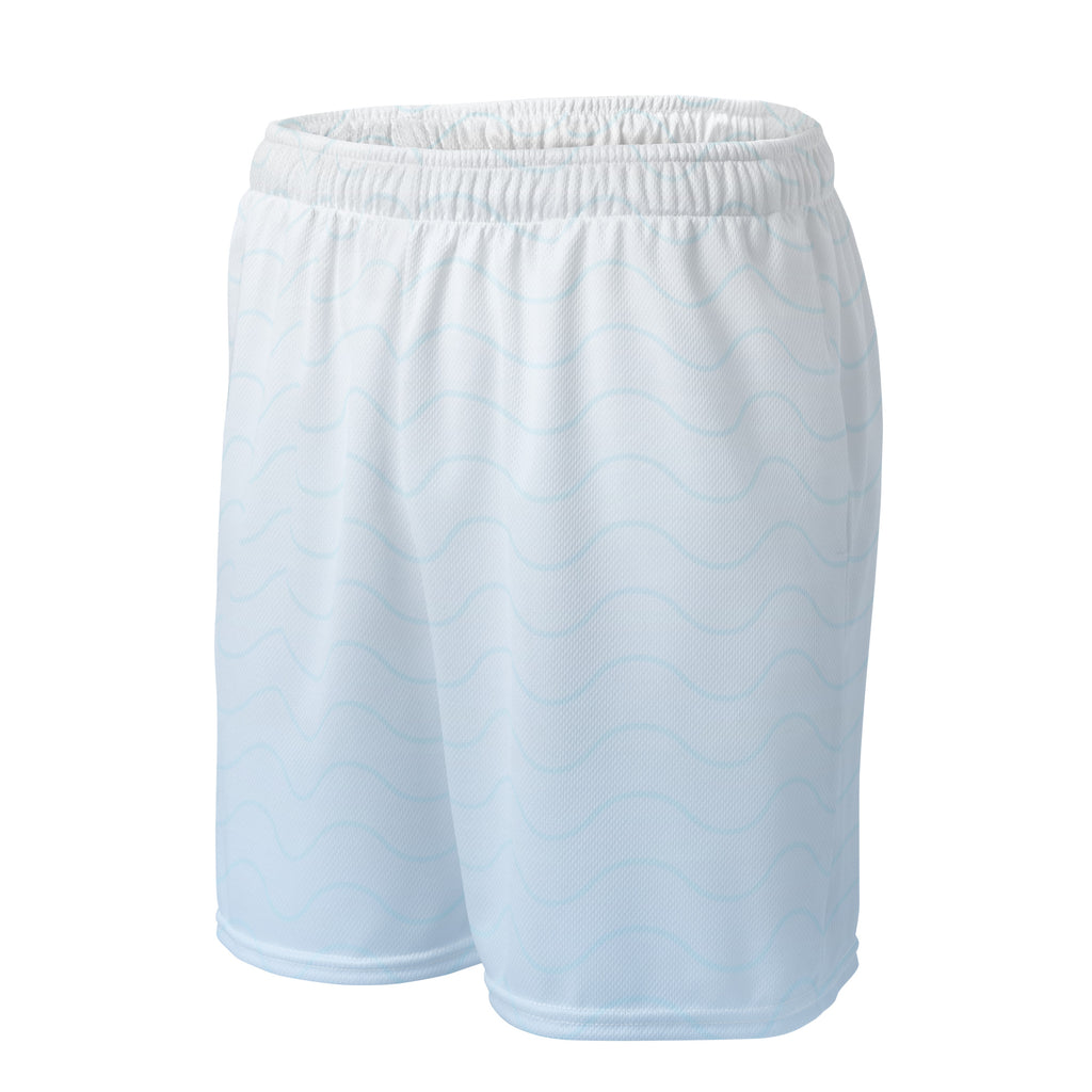 Pro basket ball shorts