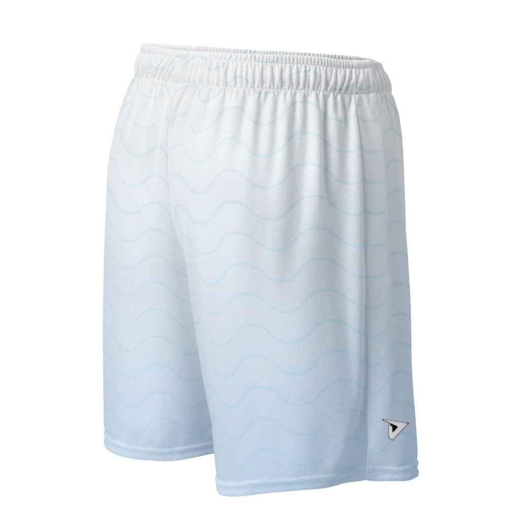 Pro basket ball shorts